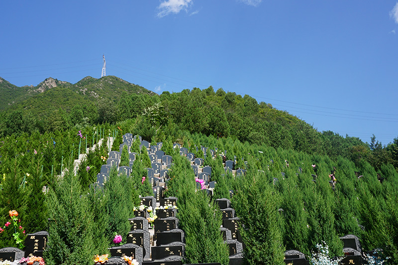 善唯资讯:选墓乘坐选墓专车,方便快捷,防暑防晒 善唯资讯:选墓乘坐选墓专车,方便快捷,防暑防晒