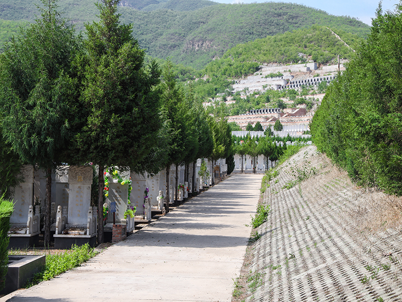 炎黄陵园优势体现在哪 炎黄陵园优势体现在哪