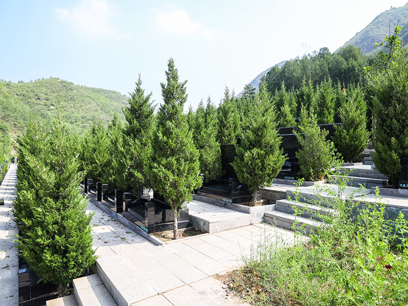 景仰园和九公山纪念林,各自有什么优点?该怎么选? 景仰园和九公山纪念林,各自有什么优点?该怎么选?