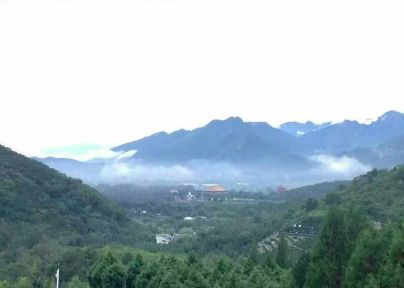 景仰园和华人怀思堂,各自有什么优点?两者该怎么选? 景仰园和华人怀思堂,各自有什么优点?两者该怎么选?